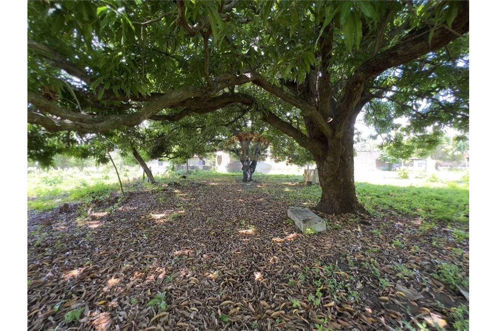 Commercial - Commercial/Retail - Rivas, Rivas, Nicaragua - Caribbean & Central Ameri - 23 - 90119008-101