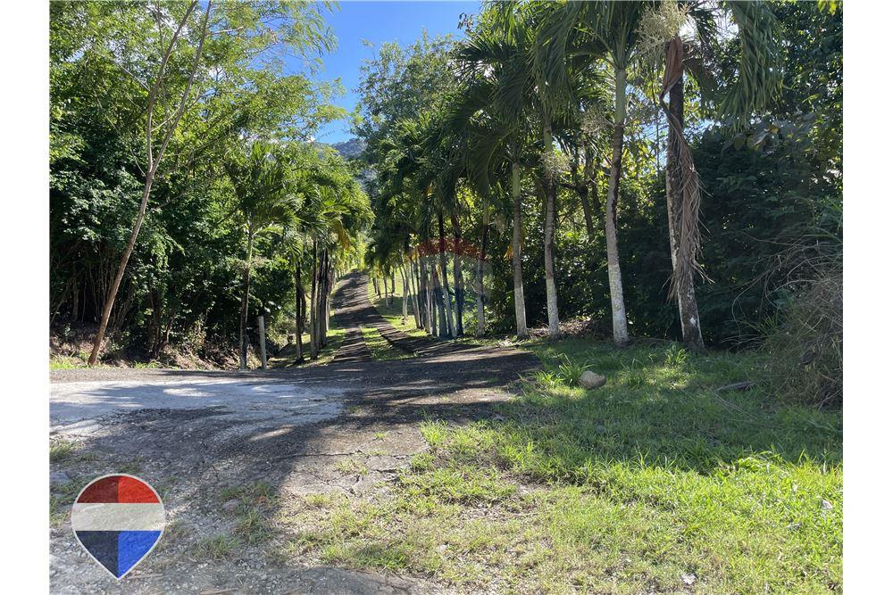 Land - For Sale - Theodorine, Anse-la-Raye, St Lucia - 11 - 902071001-196