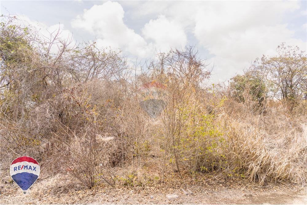 Land - For Sale - Lance aux Epines, Saint George, Grenada - 12 - 902581001-102