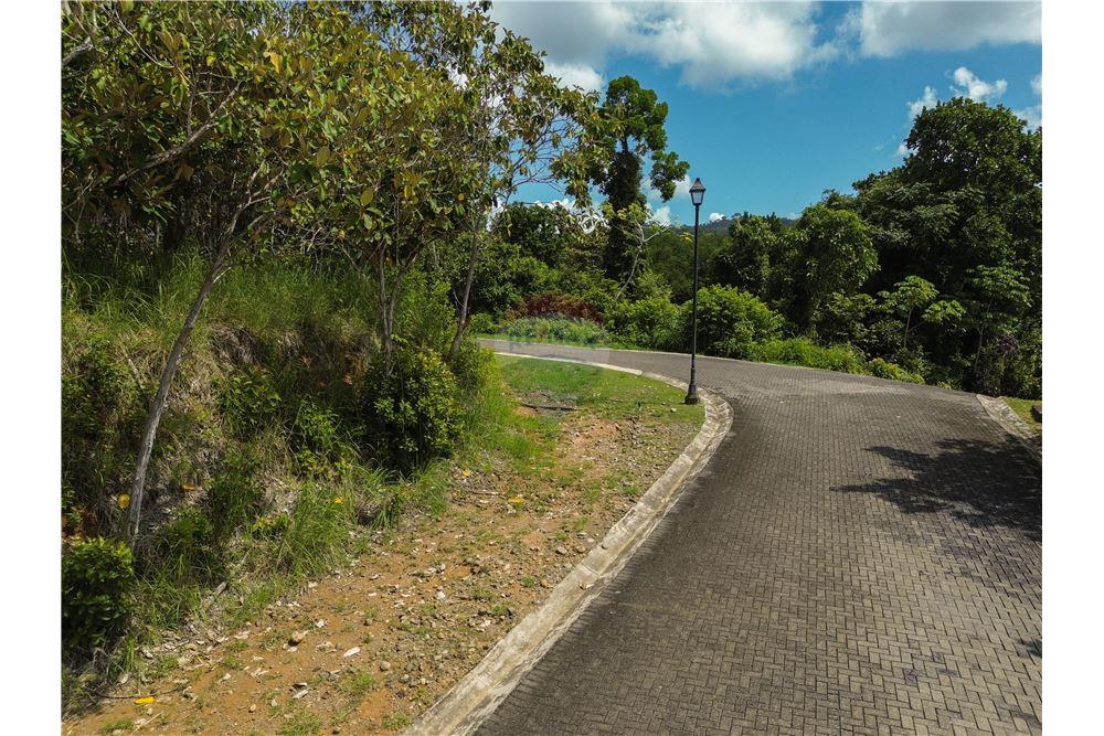 Commercio - Terreno - Parrita - Esterillos, Puntarenas - Parrita, Costa Rica - Caribbean & Central Ameri - 13 - 90168039-32