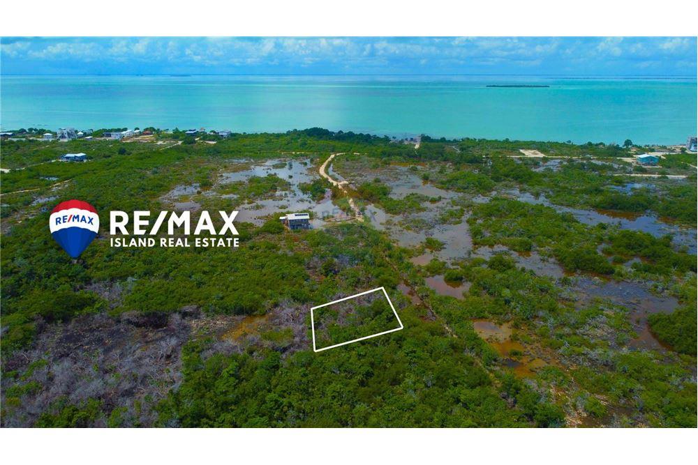Commercial - Land - Ambergris Caye, Ambergris Caye, Belize - Caribbean & Central Ameri - 3 - 90135024-4