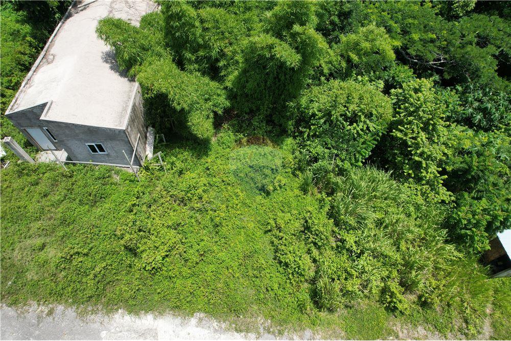 Land - For Sale - Lucea, Hanover Parish, Jamaica - 7 - 902421019-7