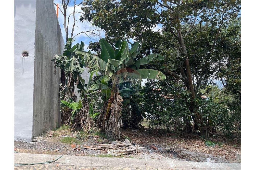 Grondstuk - Te Koop - Alotenango, Sacatepéquez, Guatemala - 2 - 90129008-156