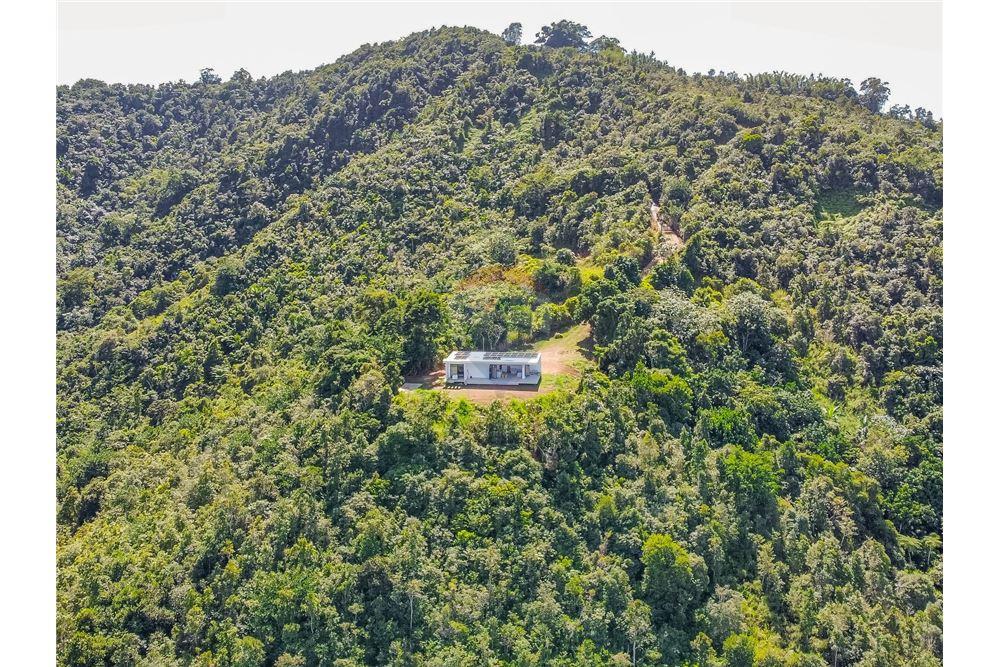 Residential - Villa - Cayey, Cayey, Puerto Rico - Caribbean & Central Ameri - 7 - 902461007-27