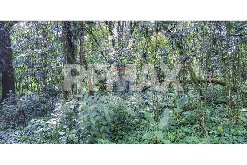 Grondstuk - Te Koop - Santa Elena Barillas, Guatemala, Guatemala - 14 - 902091017-26