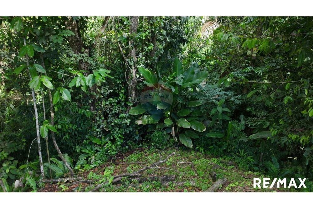 Comercial - Terreno - Parrita, Puntarenas - Parrita, Costa Rica - Caribbean & Central Ameri - 10 - 90168045-21