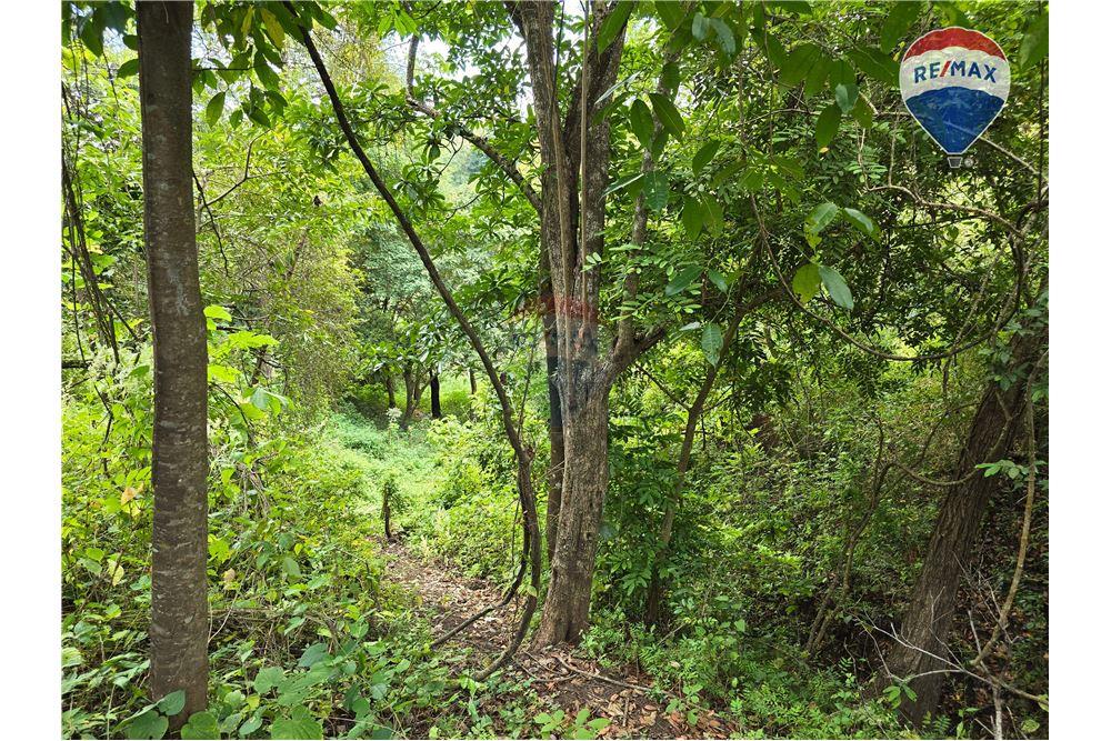 Commercial - Land - Nandaime, Granada, Nicaragua - Caribbean & Central Ameri - 12 - 90119010-73