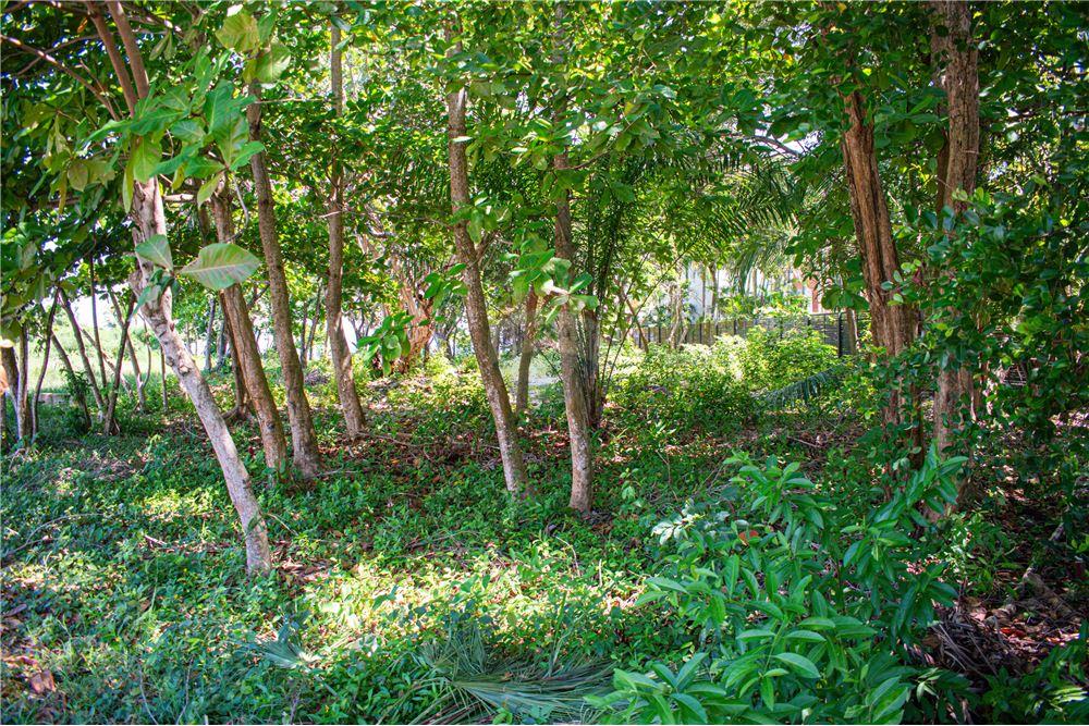 Comercial - Terreno - Placencia, Stann Creek District, Belice - Caribbean & Central Ameri - 16 - 90127003-302