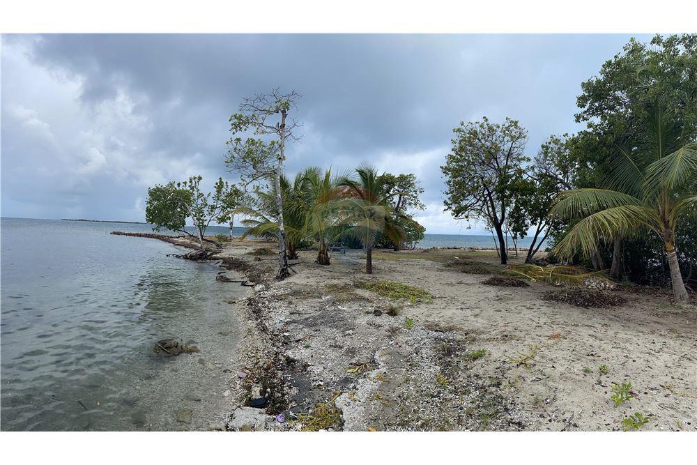 Commercial - Land - Placencia, Stann Creek District, Belize - Caribbean & Central Ameri - 4 - 90127016-276