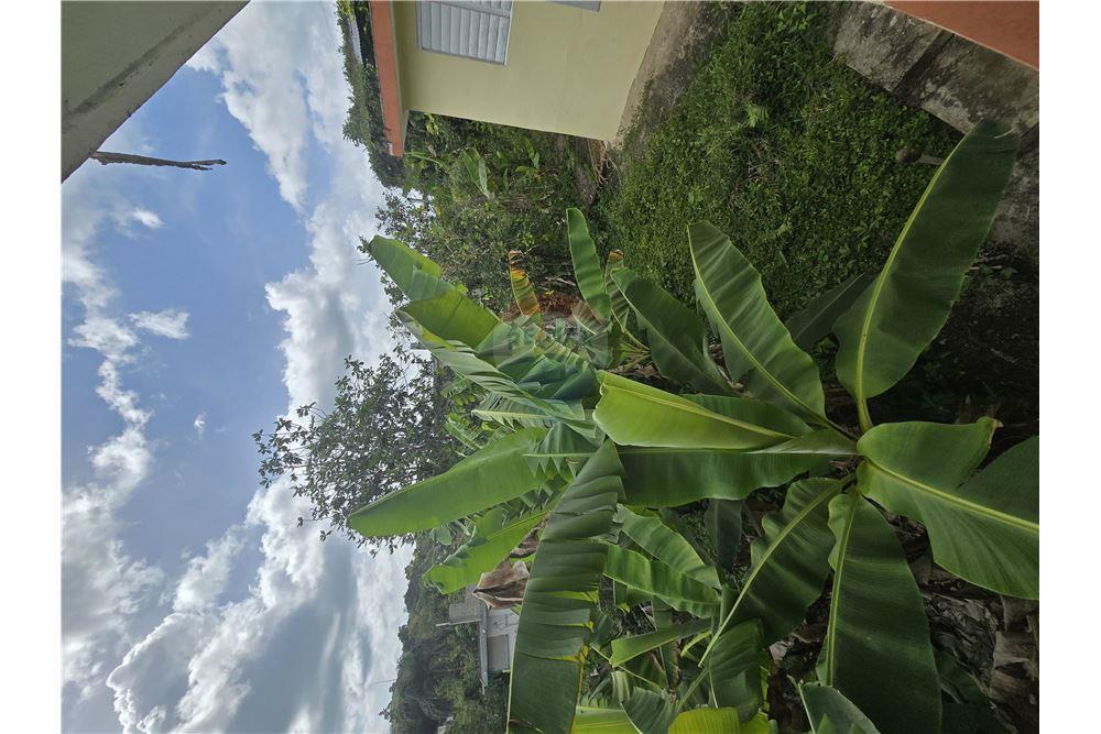 Villa - Venta - Cayey, Cayey, Puerto Rico - 12 - 90102025-339