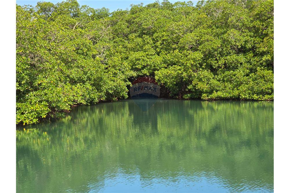 Commercial - Land - Monkey River, Toledo District, Belize - Caribbean & Central Ameri - 10 - 90127016-269