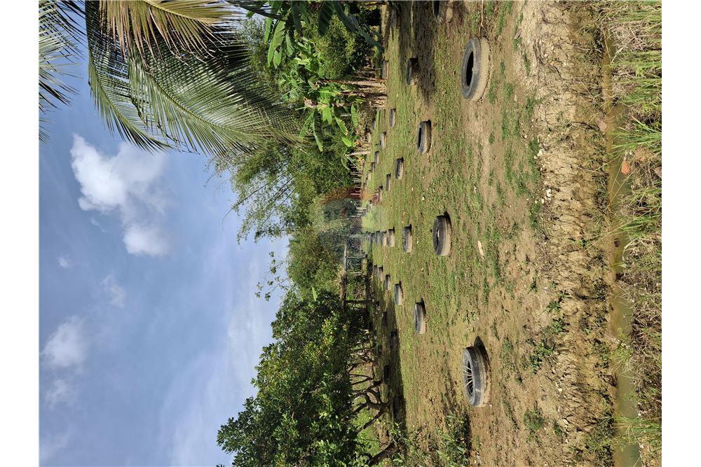 Grondstuk - Te Koop - Sangre Chiquita, Saint Andrew, Trinidad and Tobago - 6 - 90155092-77