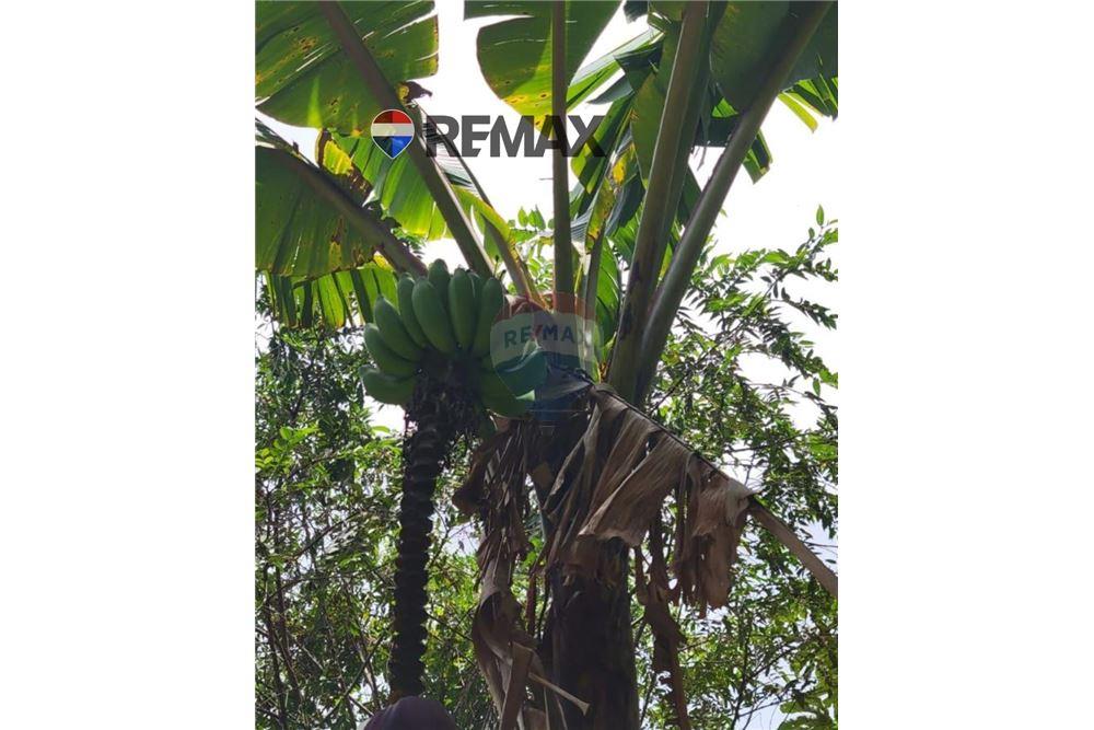 Land - For Sale - San Martin, San Salvador, El Salvador - 2 - 902501008-20