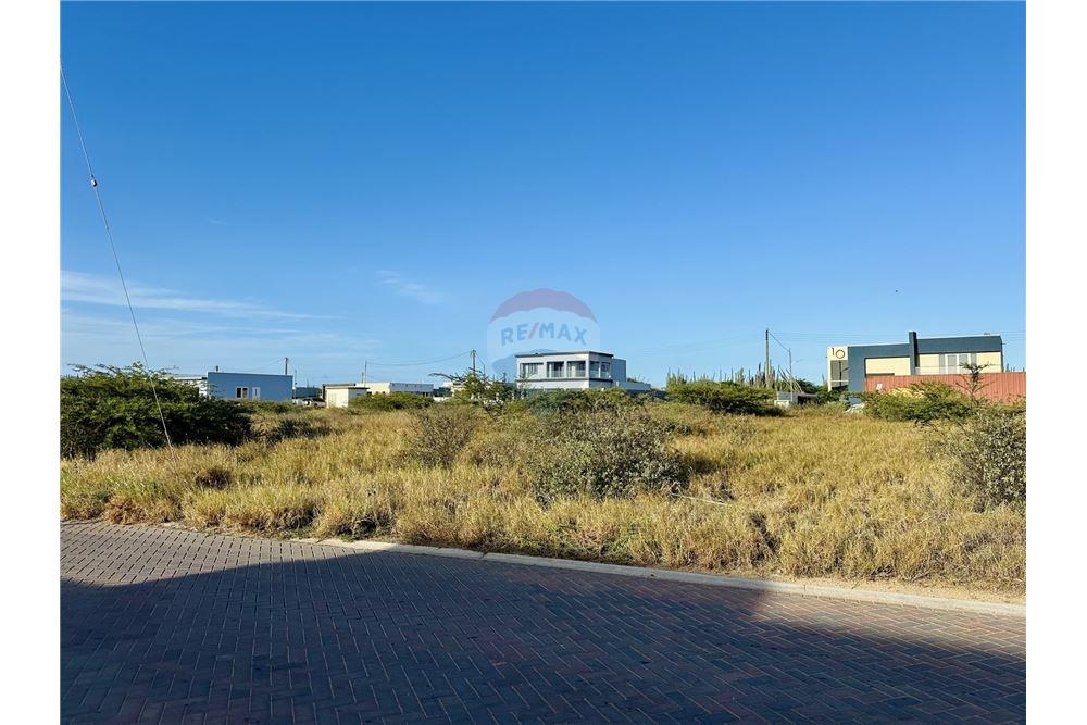 Land - For Sale - Noord, Aruba, Aruba - 56662 - 90105046-34