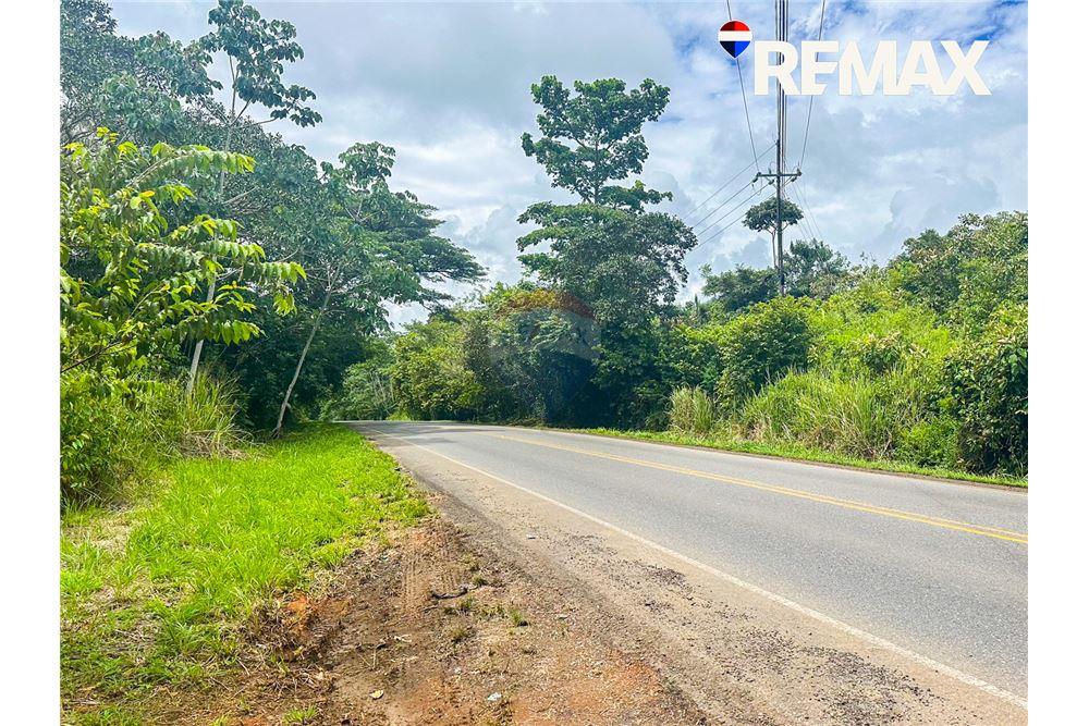 Comercial - Terreno - Parrita - Esterillos, Puntarenas - Parrita, Costa Rica - Caribbean & Central Ameri - 19 - 90168003-465