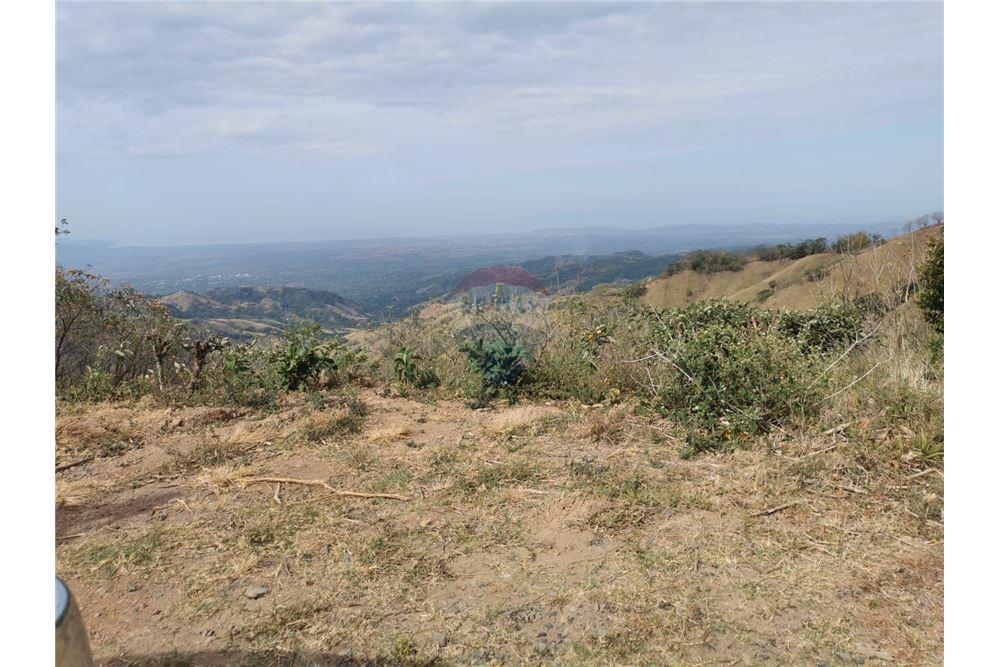 Commercial - Land - Atenas, Alajuela- Atenas, Costa Rica - Caribbean & Central Ameri - 6 - 90128007-170