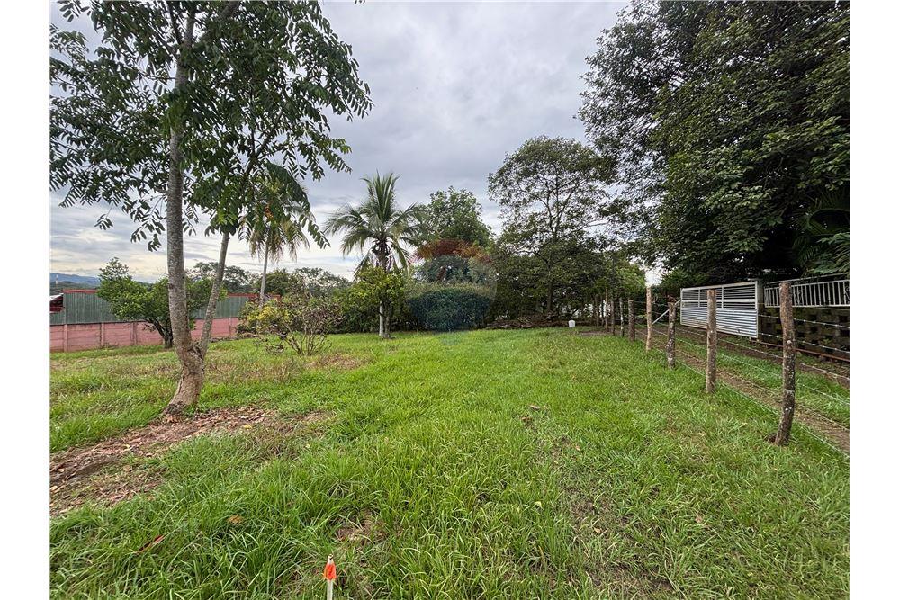 商业 - 土地 - Atenas, Alajuela- Atenas, 哥斯达黎加 - Caribbean & Central Ameri - 3 - 90128002-986