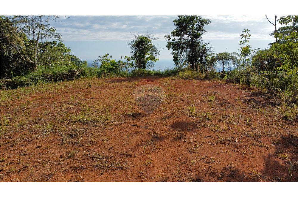 Surface commerciale - Autre terrain - San José, San José, Costa Rica - Caribbean & Central Ameri - 4 - 90168030-68