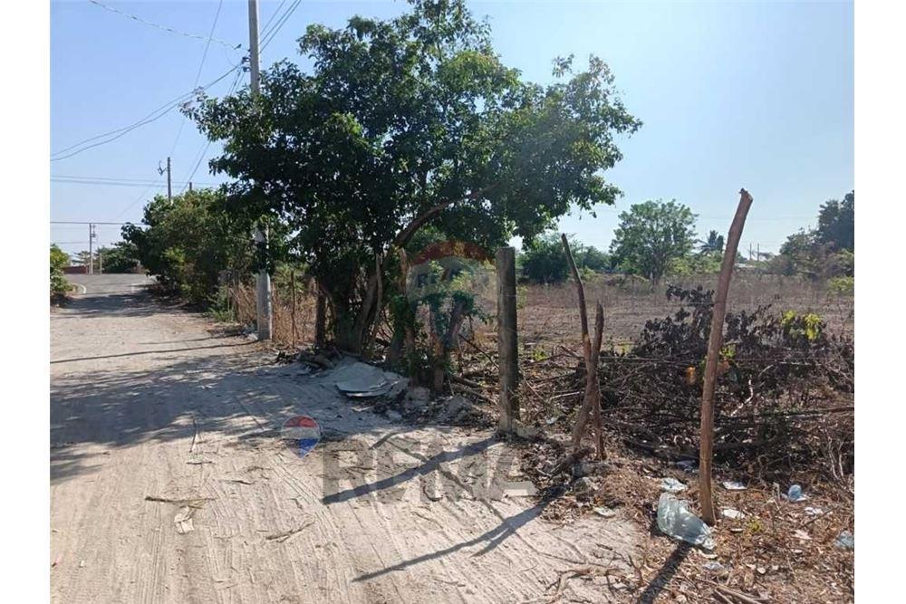 Land - For Sale - San Luis Talpa, La Paz, El Salvador - 8 - 902501005-11