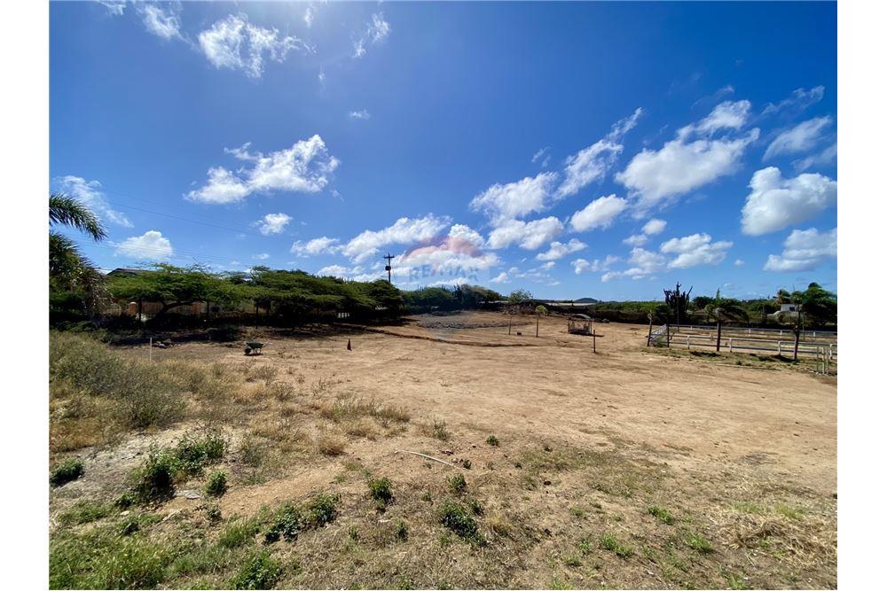 Land - For Sale - Santa Cruz, Aruba, Aruba - 55216 - 90105001-163