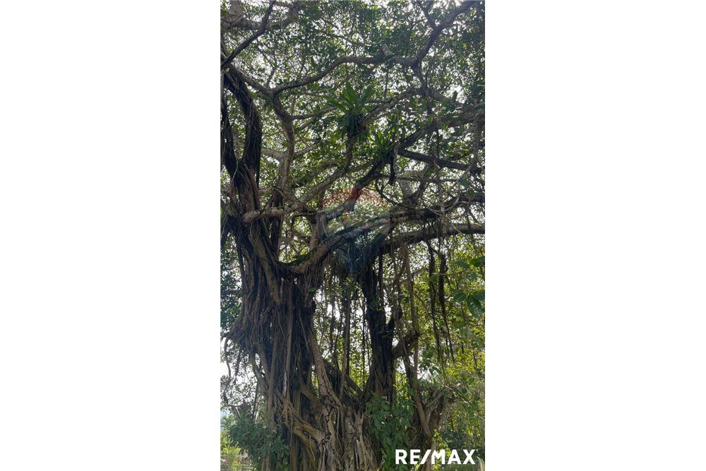 商业 - 土地 - Tarcoles - Agujas, Puntarenas- Garabito, 哥斯达黎加 - Caribbean & Central Ameri - 9 - 90168045-16