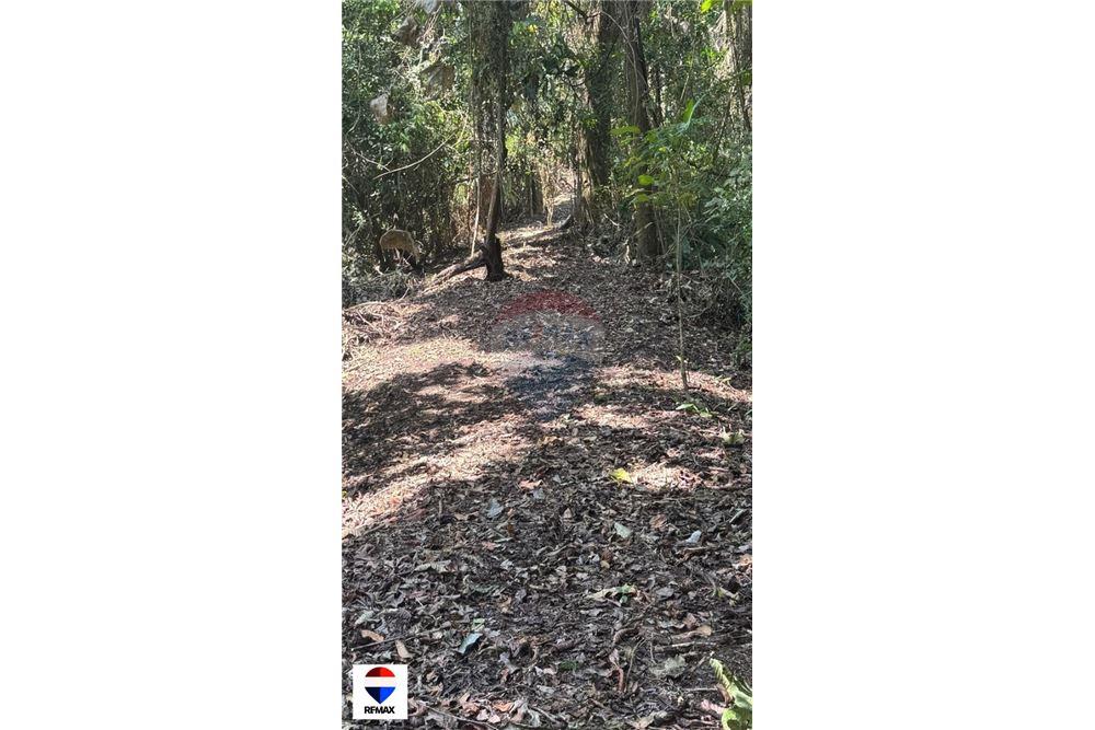 Comercial - Terrenos - Tarcoles - Quebrada Ganado, Puntarenas- Garabito, Costa Rica - Caribbean & Central Ameri - 10 - 90168030-59