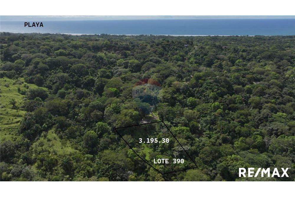 Comercial - Terreno - Parrita, Puntarenas - Parrita, Costa Rica - Caribbean & Central Ameri - 1 - 90168045-21