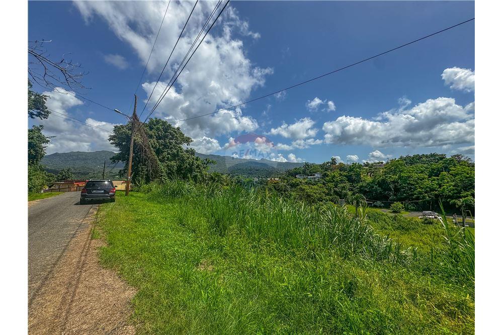 Commercial - Land - Rio Grande, Rio Grande, Puerto Rico - Caribbean & Central Ameri - 1 - 902461010-8