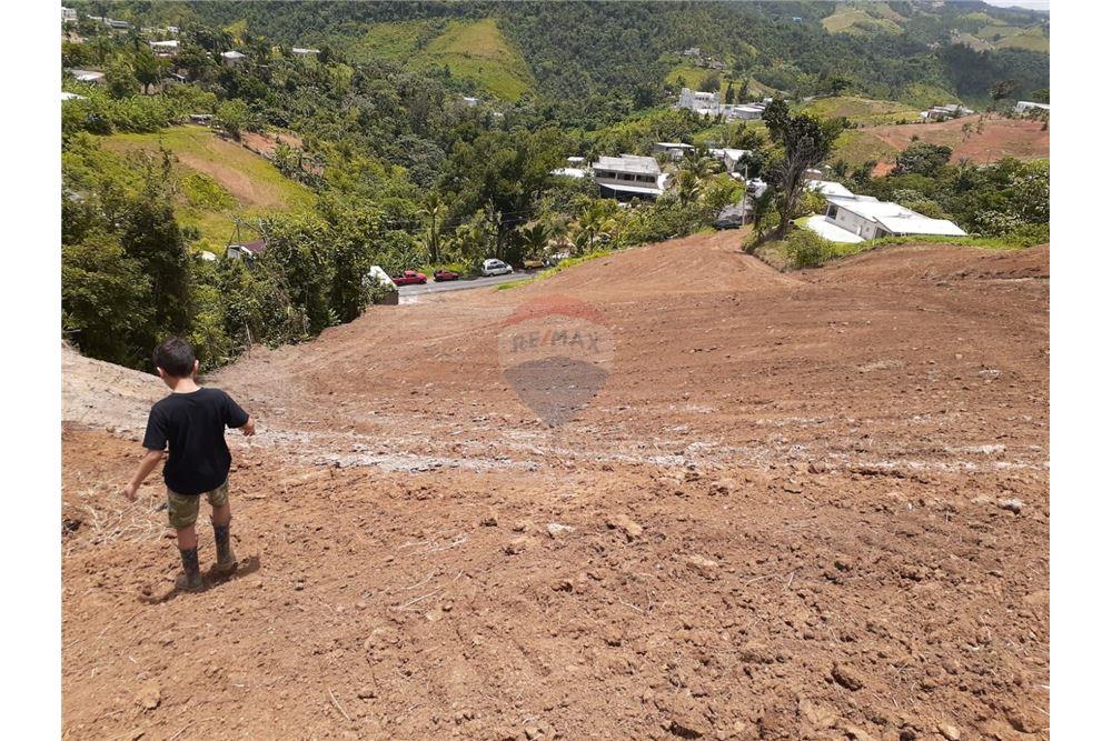 Land - For Sale - Barranquitas, Barranquitas, Puerto Rico - 8 - 90102087-2
