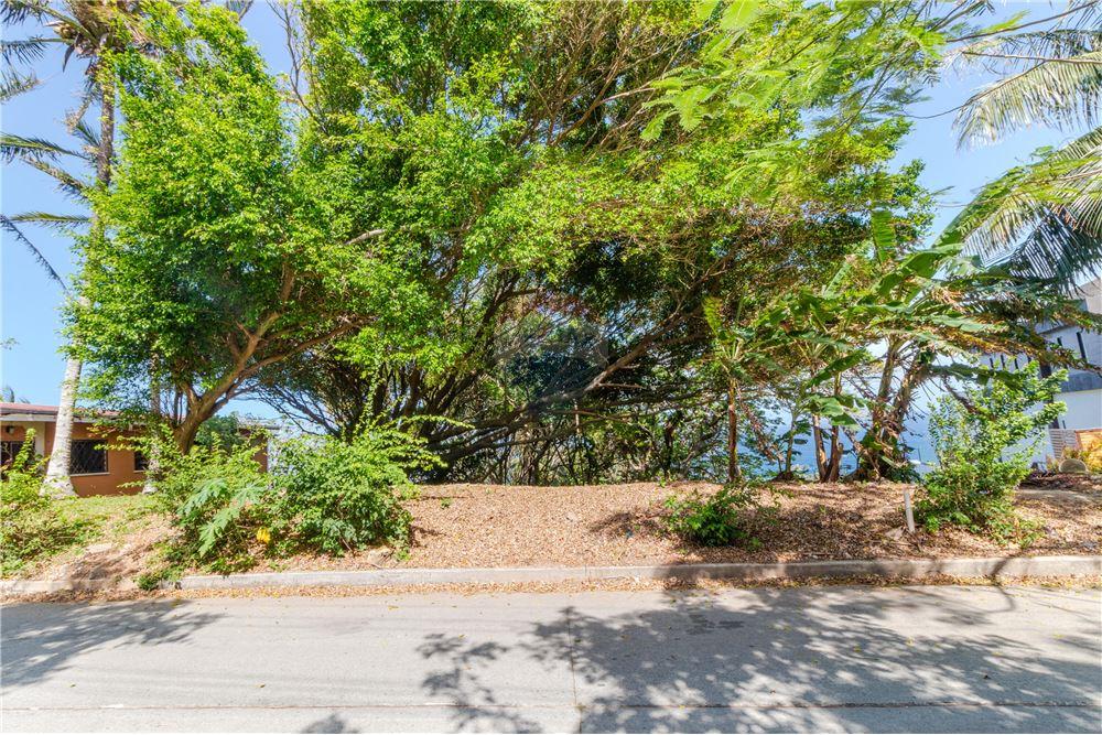 Land - For Sale - Roatan, Bay Islands, Honduras - 10 - 90143009-367