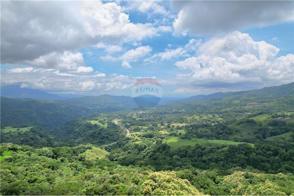 Commercial - Land - Atenas, Alajuela- Atenas, Costa Rica - Caribbean & Central Ameri - 12 - 90128007-183