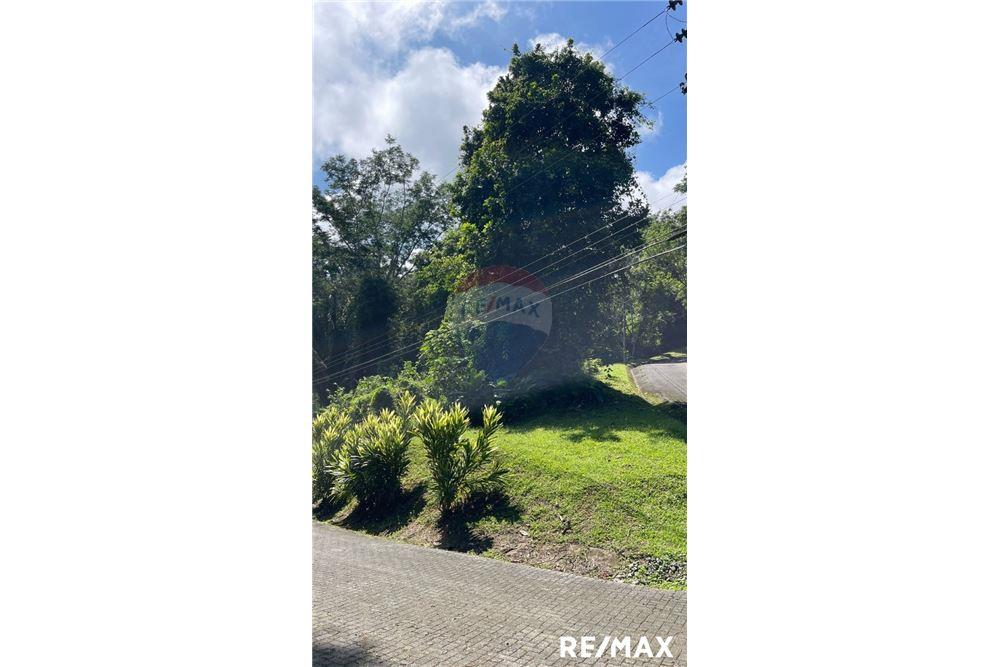 商业 - 土地 - Puntarenas, Puntarenas - Puntarenas, 哥斯达黎加 - Caribbean & Central Ameri - 6 - 90168045-15