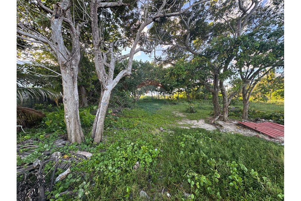 Comercial - Terreno - Placencia, Stann Creek District, Belice - Caribbean & Central Ameri - 1 - 90127003-302