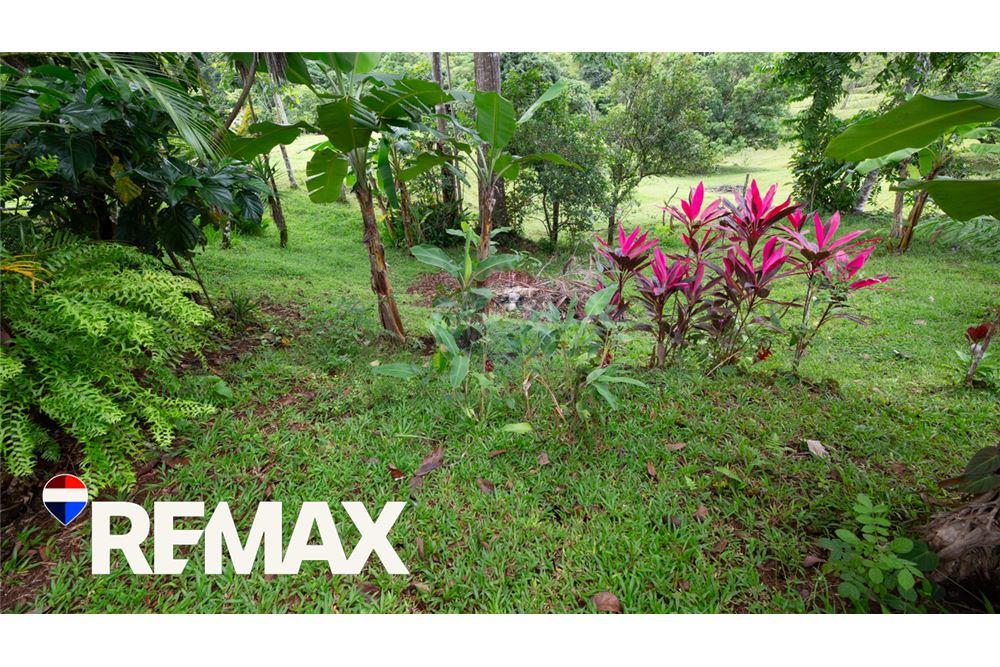 住宅 - 别墅 - San José, San José, 哥斯达黎加 - Caribbean & Central Ameri - 13 - 90168013-176