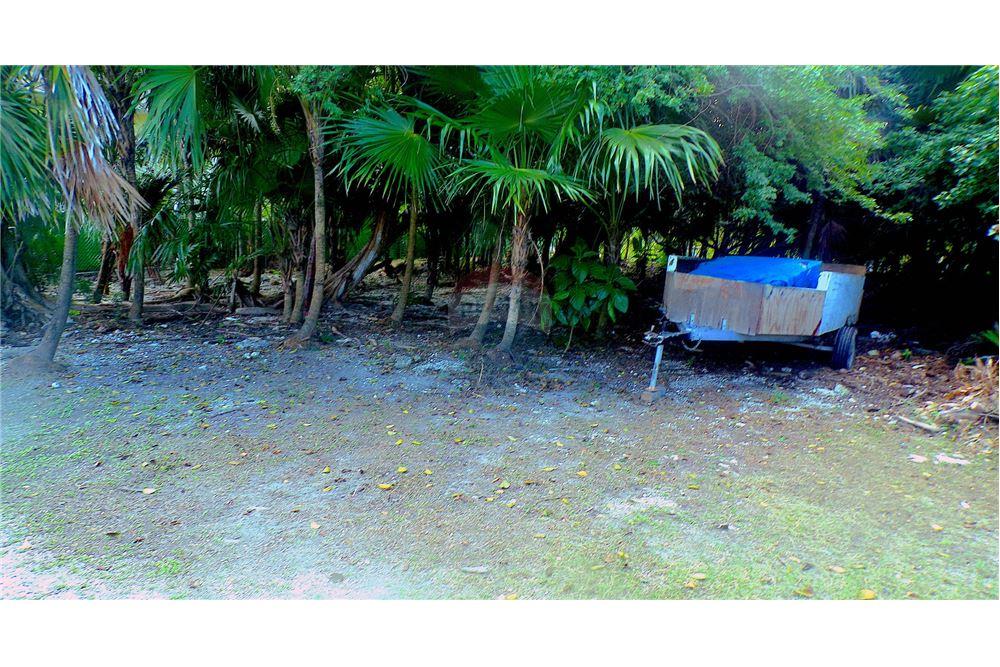 Grondstuk - Te Koop - Savannah, Savannah, Cayman Islands - 3 - 90146033-39