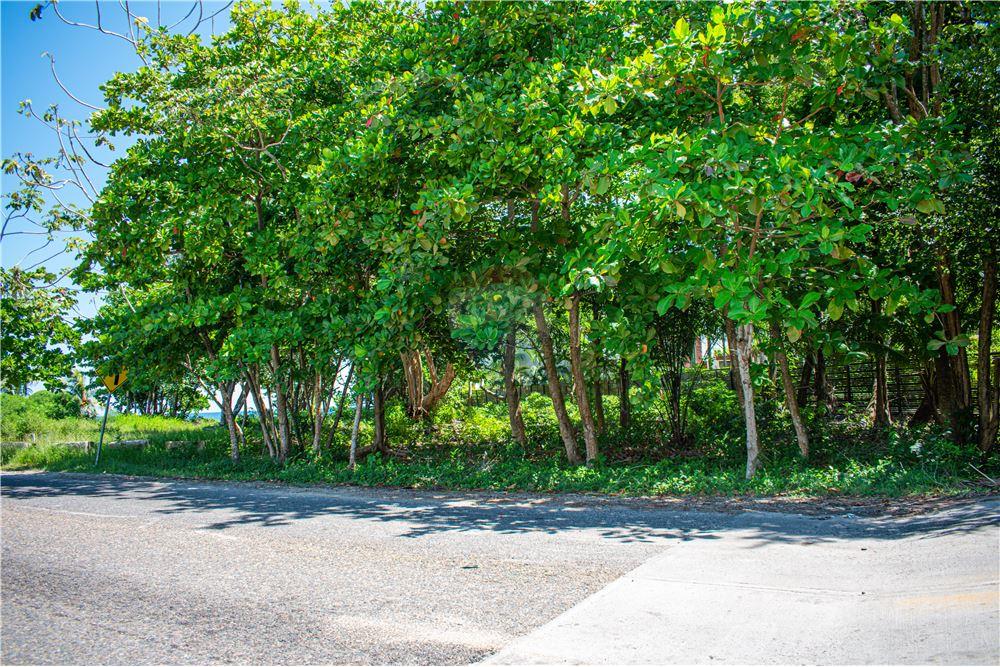 Comercial - Terreno - Placencia, Stann Creek District, Belice - Caribbean & Central Ameri - 15 - 90127003-302