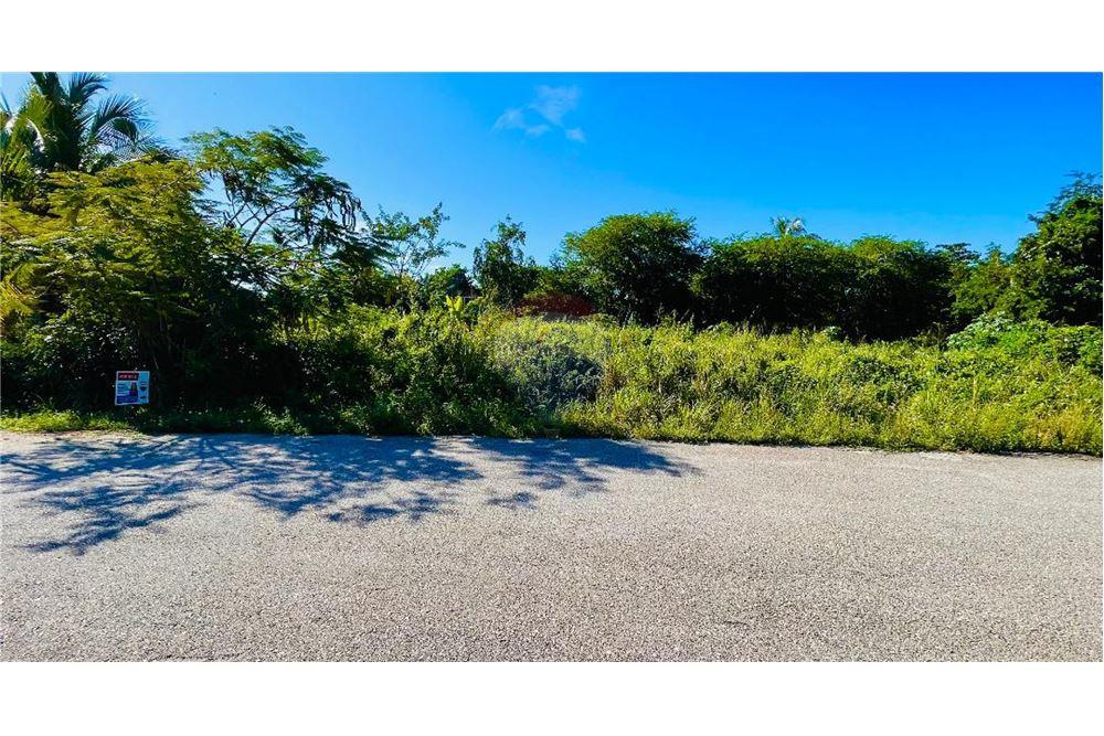 Commercieel - Grond - Lower Valley, Savannah, Kaimaninseln - Caribbean & Central Ameri - 2 - 90146033-43