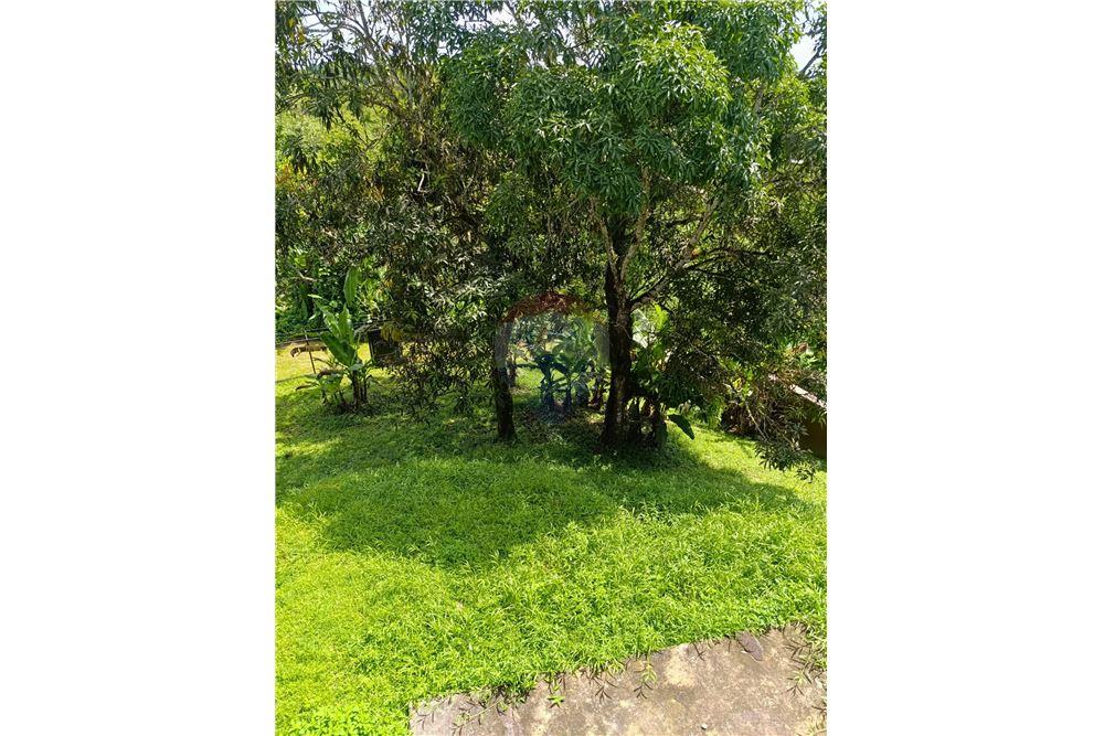 Apartamento/Condominio - Venta - Siparia, Saint Patrick, Trinidad and Tobago - 8 - 90155117-98