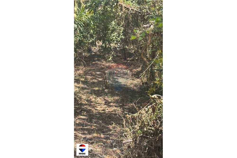 Comercial - Terrenos - Tarcoles - Quebrada Ganado, Puntarenas- Garabito, Costa Rica - Caribbean & Central Ameri - 9 - 90168030-59