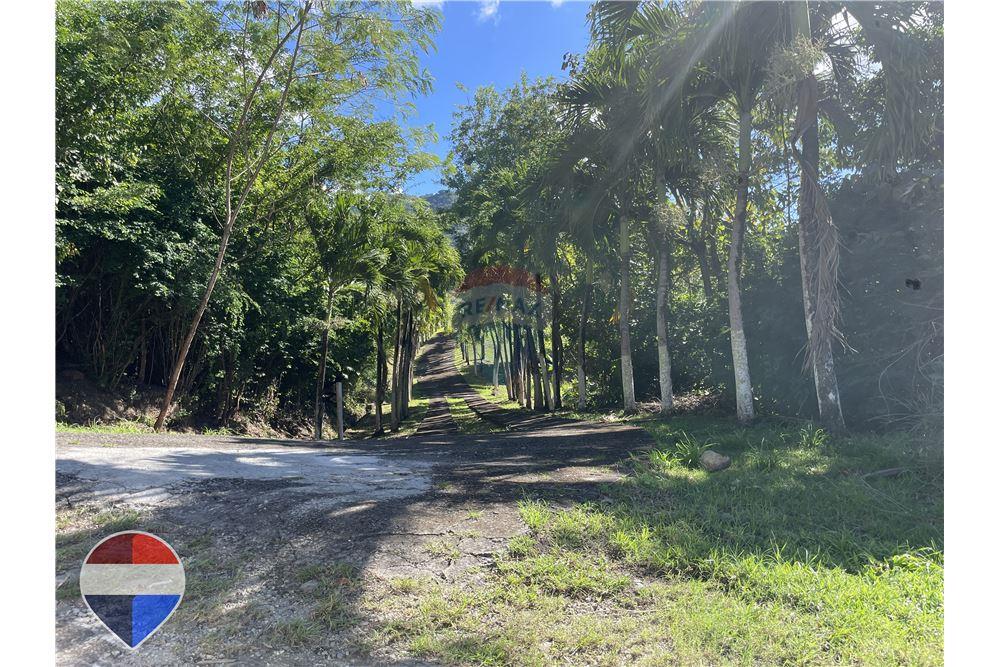 Land - For Sale - Theodorine, Anse-la-Raye, St Lucia - 8 - 902071001-196