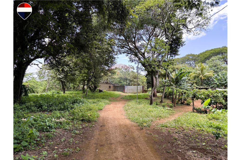 Land - For Sale - Dolores, Carazo, Nicaragua - 7 - 902521001-24