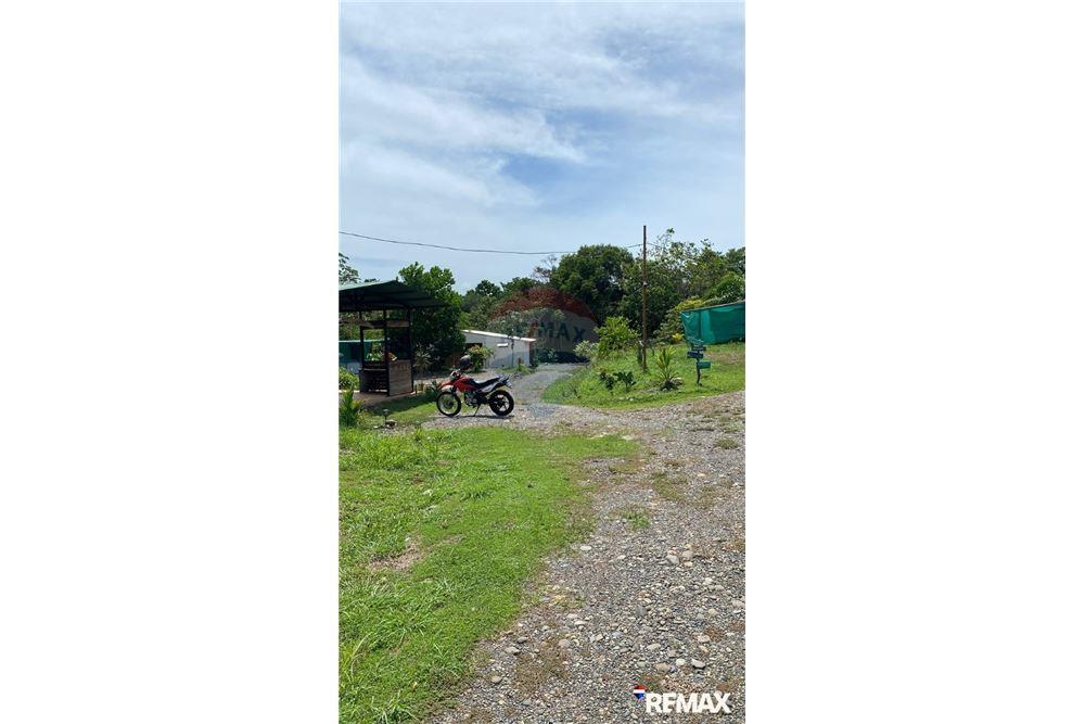 Residential - Multi-Family - Parrita, Puntarenas - Parrita, Costa Rica - Caribbean & Central Ameri - 25 - 90168003-464