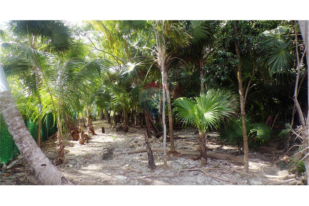 Grondstuk - Te Koop - Savannah, Savannah, Cayman Islands - 2 - 90146033-39