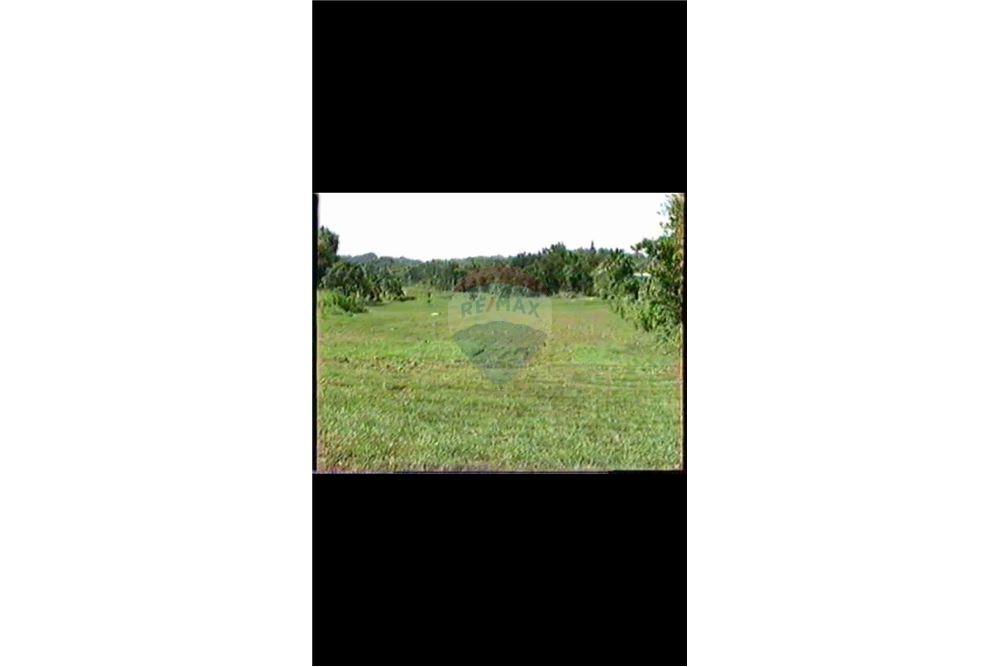 Land - For Sale - Dorado, Dorado, Puerto Rico - 14 - 90102025-331