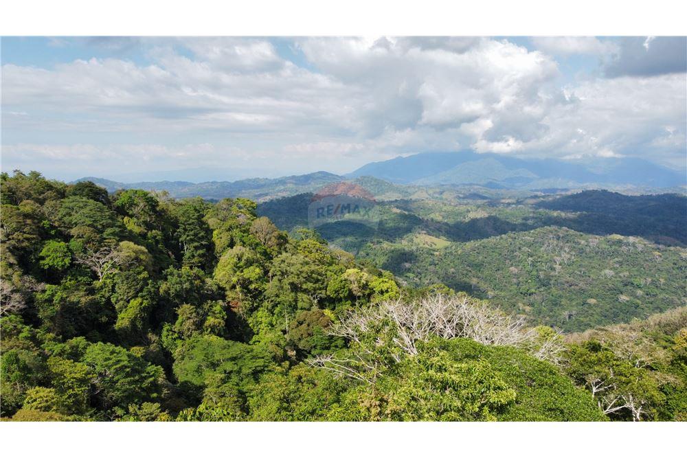 Surface commerciale - Autre terrain - San José, San José, Costa Rica - Caribbean & Central Ameri - 14 - 90168030-68