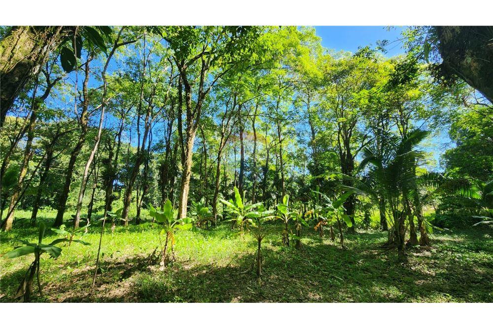 Land - For Sale - Matura, Saint Andrew, Trinidad and Tobago - 2 - 90155095-32