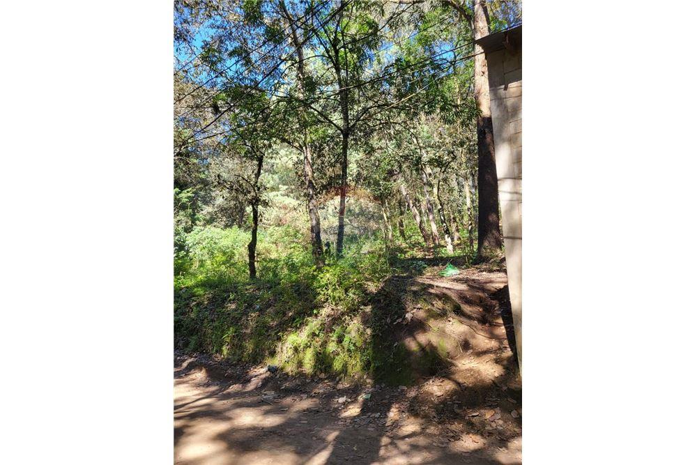 Grondstuk - Te Koop - San Juan Sacatepéquez, Guatemala, Guatemala - 1 - 902691005-31