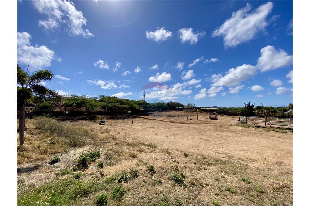 Land - For Sale - Santa Cruz, Aruba, Aruba - 55208 - 90105001-163