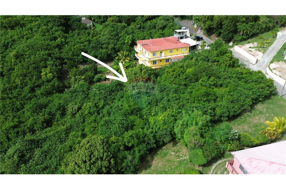 Land - For Sale - Clifton Hill, St Croix, US Virgin Islands - 6 - 90123034-103
