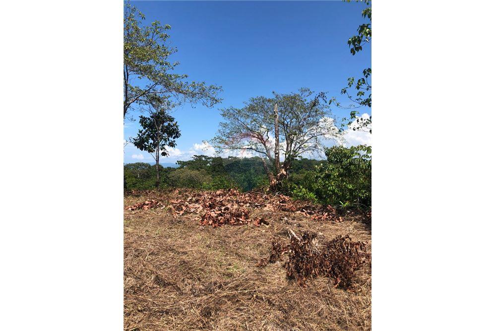 Commercio - Terreno - Puntarenas, Puntarenas - Puntarenas, Costa Rica - Caribbean & Central Ameri - 3 - 90168026-87